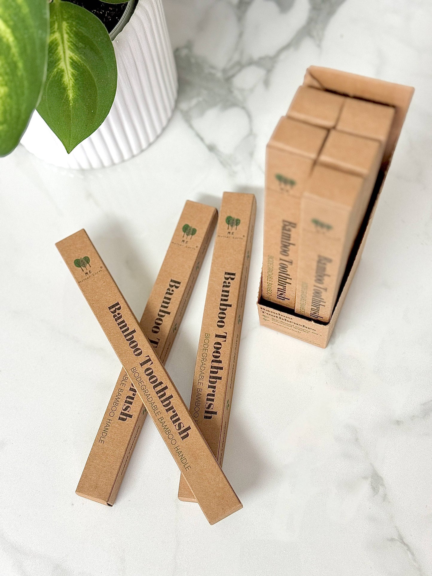 Bamboo Charcoal Toothbrush